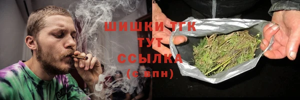 ПСИЛОЦИБИНОВЫЕ ГРИБЫ Инсар