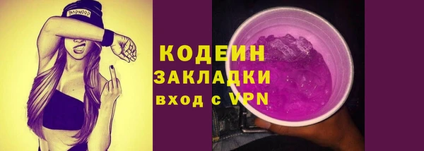 ПСИЛОЦИБИНОВЫЕ ГРИБЫ Инсар