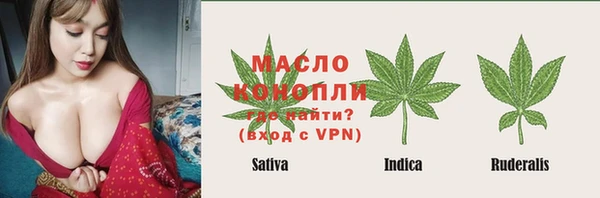 ПСИЛОЦИБИНОВЫЕ ГРИБЫ Инсар