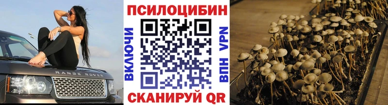 продажа наркотиков  Морозовск  Псилоцибиновые грибы Psilocybine cubensis 